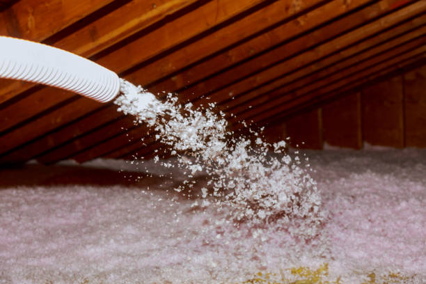 Best Fiberglass Insulation in Pueblo West, CO