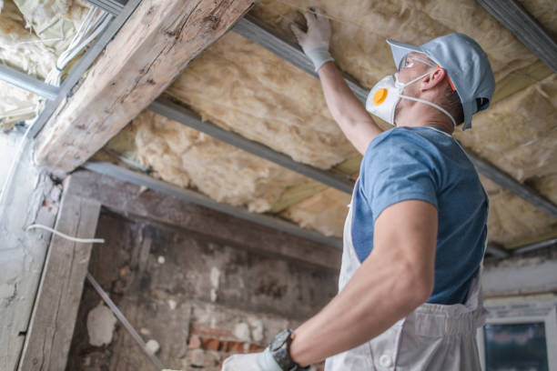 Best Energy Efficiency Insulation in Pueblo West, CO